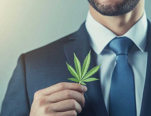 Power Up Your Dispensary with the NM Cannabis Chamber