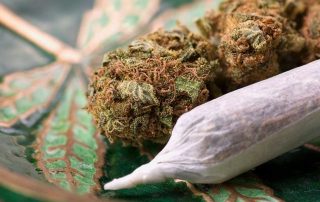 image showing example of cannabis content marketing