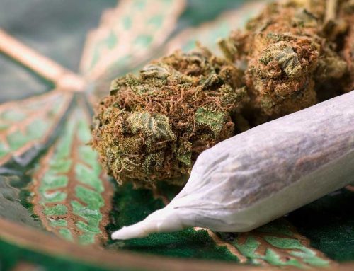 Why Cannabis Content Marketing Is Essential for Growth