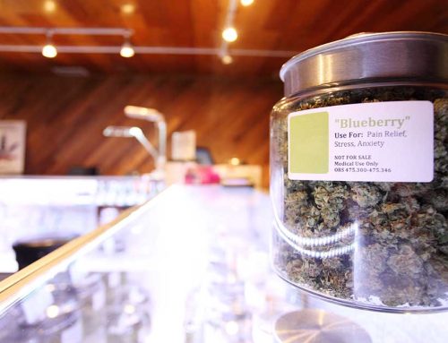 Has Weedmaps Gotten You New Customers?