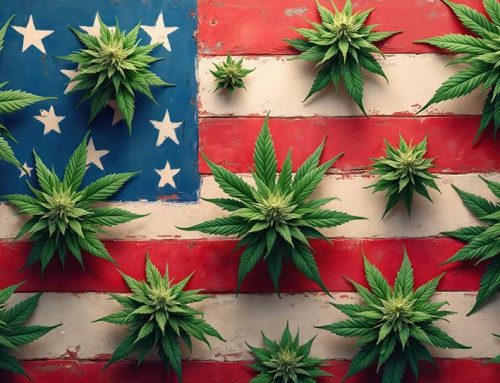 What Makes A Weed Dispensary Successful?