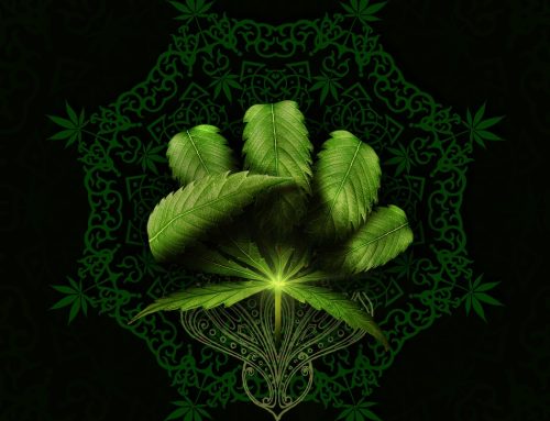 Top Elements of Your Cannabis Dispensary Brand Identity