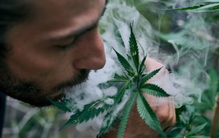 image of potential cannabis influencer marketing potential