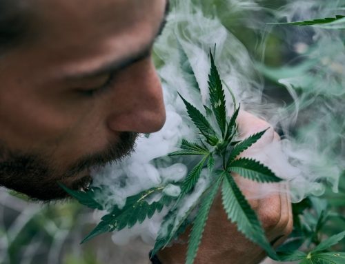 Mastering Cannabis Influencer Marketing Strategies