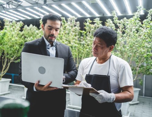 Cannabis Marketing: A Strategic Guide for Dispensaries